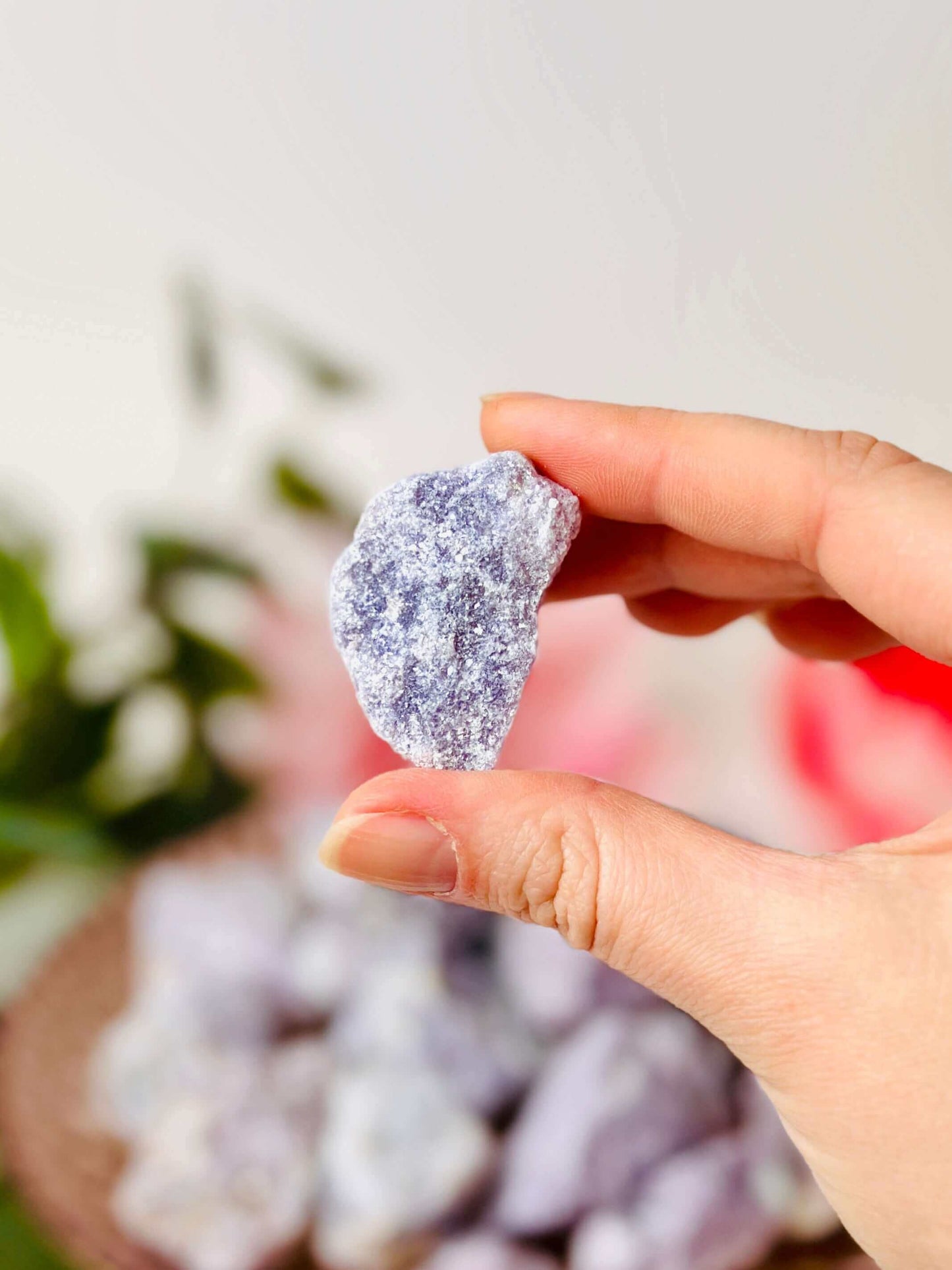 Purple Lepidolite raw crystals