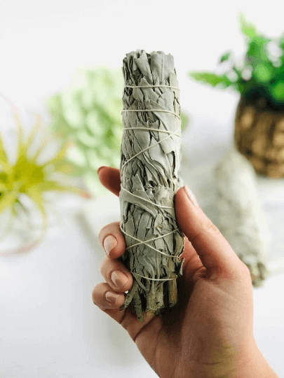 White Sage smudge sticks - 6"