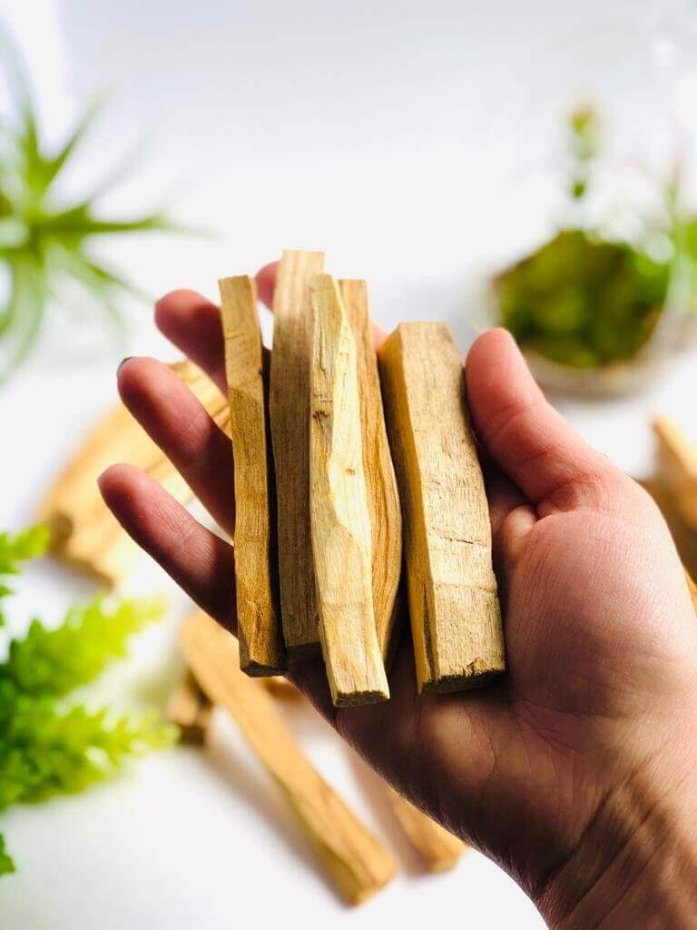 Palo santo sticks
