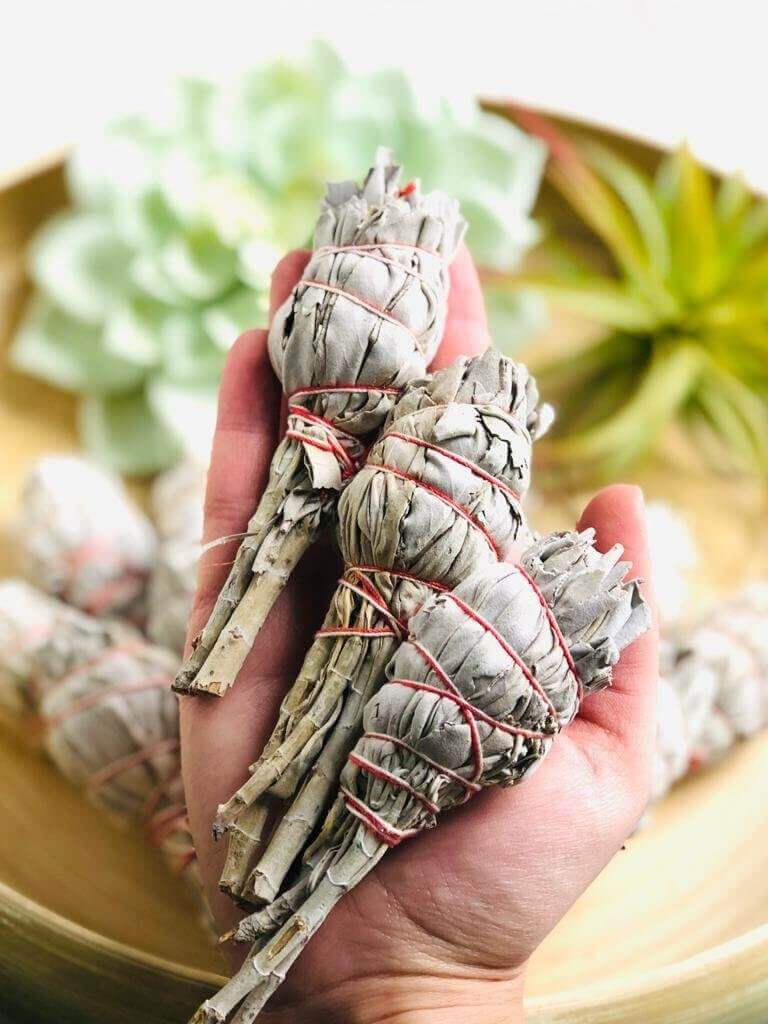 White Sage smudging sticks
