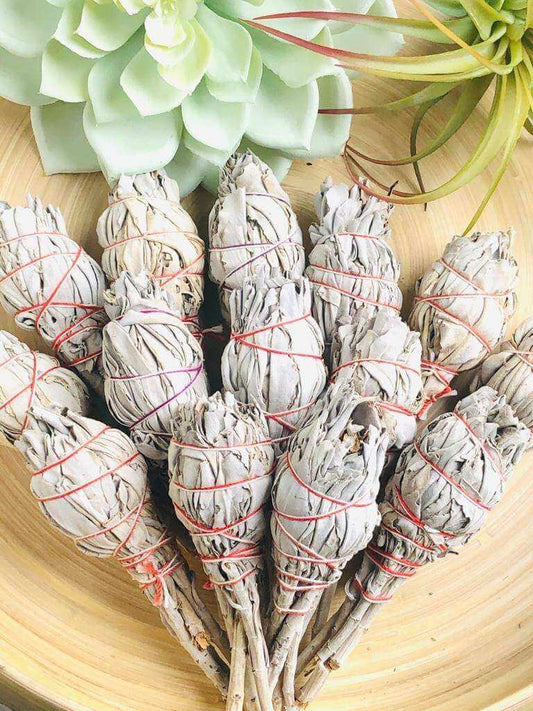 White Sage smudging sticks