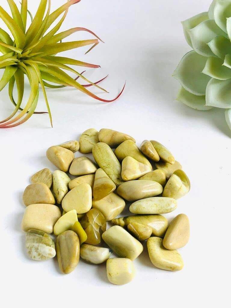 Lemon Serpentine tumbled stone