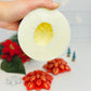 Premium Poinsettia Candle Molds, Flower Silicone candle mold