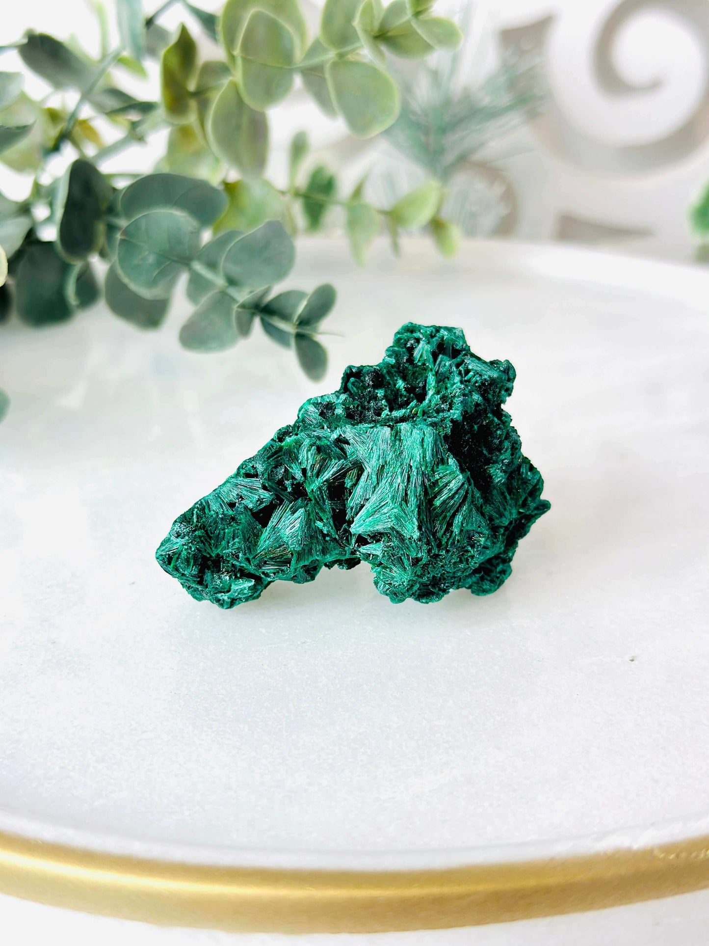 Velvet malachite specimen